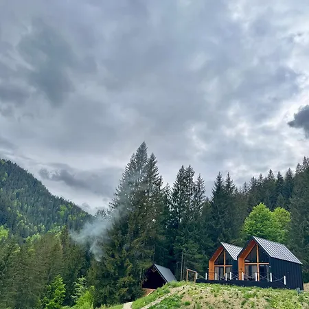 Royal Place Holiday home Krivorovnya